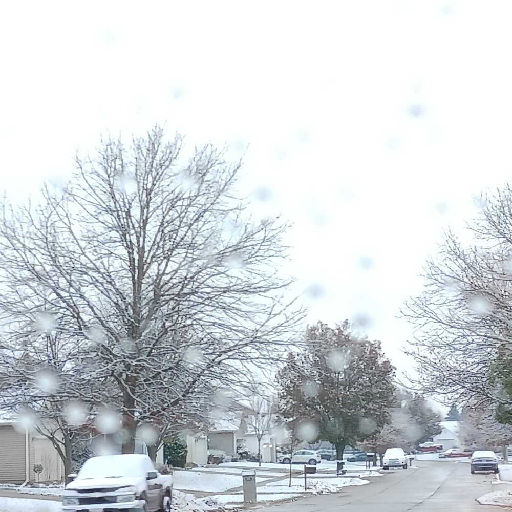 Meet your Posher, Caydence